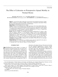 The Effect of Lidocaine on Postoperative Jejunal Motility in Normal Horses