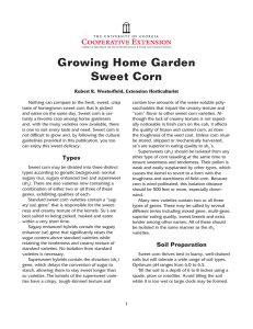 Growing Home Garden Sweet Corn Robert R. Westerfield, Extension Horticulturist
