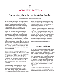Conserving Water in the Vegetable Garden