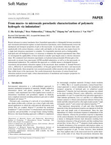 From macro- to microscale poroelastic characterization of polymeric hydrogels via indentation†