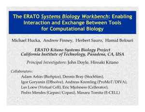 Systems Biology Workbench Interaction and Exchange Between Tools for Computational Biology