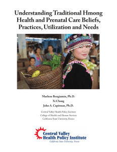 Understanding Traditional Hmong Health and Prenatal Care Beliefs, Practices, Utilization and Needs