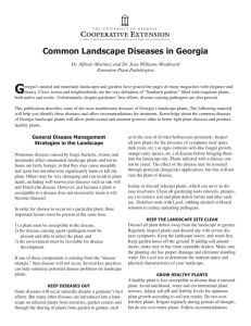G Common Landscape Diseases in Georgia Extension Plant Pathologists