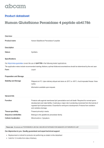 Human Glutathione Peroxidase 4 peptide ab41786 Product datasheet Overview Product name