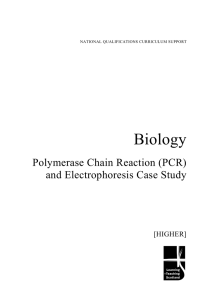 Biology Polymerase Chain Reaction (PCR) and Electrophoresis Case Study