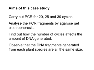 Carry out PCR for 20, 25 and 30 cycles. electrophoresis.
