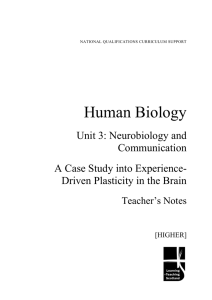 Human Biology Unit 3: Neurobiology and Communication A Case Study into Experience-