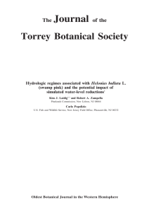 Hydrologic regimes associated with Helonias bullata L. simulated water-level reductions