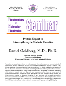 Daniel Goldberg, M.D., Ph.D.  Protein Export in Intraerythrocytic Malaria Parasites