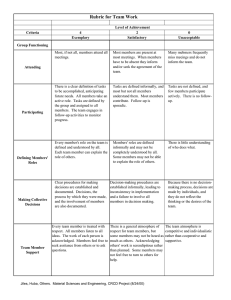 Rubric for Team Work