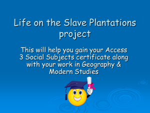 Life on the Slave Plantations project
