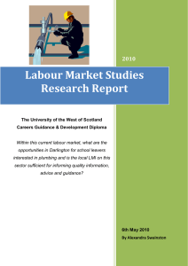 Labour Market Studies Research Report 2010