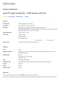 Anti-T7 tag® antibody - ChIP Grade ab9138 Product datasheet 2 Abreviews 1 Image