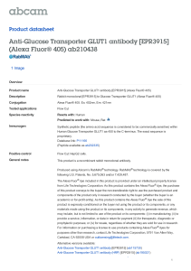 Anti-Glucose Transporter GLUT1 antibody [EPR3915] (Alexa Fluor® 405) ab210438