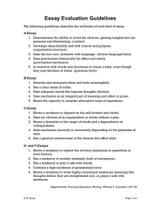 Essay Evaluation Guidelines