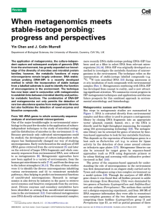 When metagenomics meets stable-isotope probing: progress and perspectives