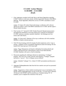 CCASSC Action Minutes 11/20/2008 – 11/21/2008 -Draft-