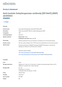 Anti-Lactate Dehydrogenase antibody [EP1566Y] (HRP)