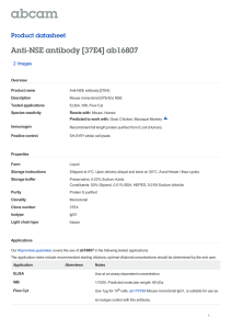 Anti-NSE antibody [37E4] ab16807 Product datasheet 2 Images