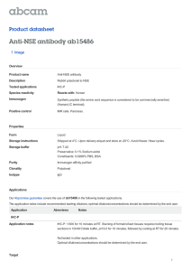 Anti-NSE antibody ab15486 Product datasheet 1 Image Overview