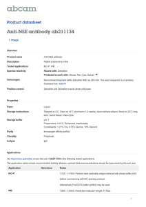 Anti-NSE antibody ab211134 Product datasheet 1 Image