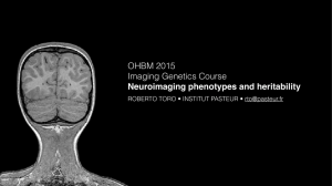 OHBM 2015 Imaging Genetics Course Neuroimaging phenotypes and heritability