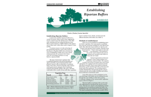 Establishing Riparian Buffers