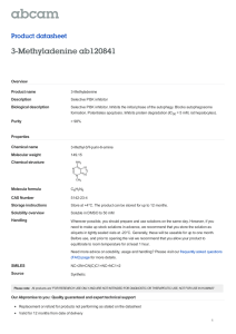 3-Methyladenine ab120841 Product datasheet Overview Product name