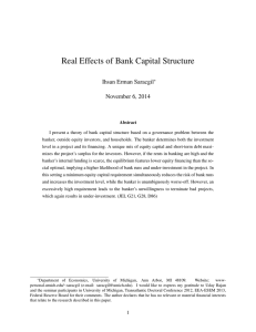 Real Effects of Bank Capital Structure Ihsan Erman Saracgil November 6, 2014