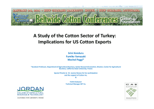 A Study of the Cotton Sector of Turkey: Srini Konduru Fumiko Yamazaki