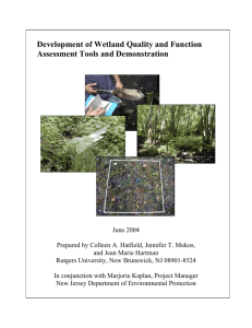 Development of Wetland Quality and Function Assessment Tools and Demonstration