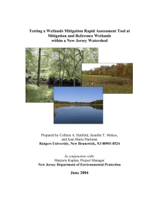 Testing a Wetlands Mitigation Rapid Assessment Tool at