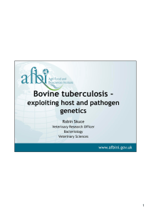 Bovine tuberculosis - exploiting host and pathogen genetics Robin Skuce