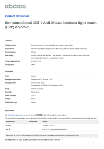 Rat monoclonal JC5-1 Anti-Mouse lambda light chain (HRP) ab99625