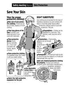 Save Your Skin Safety Meeting Skin Protection DON’T SUBSTITUTE!