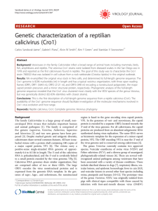 Genetic characterization of a reptilian calicivirus (Cro1) Open Access