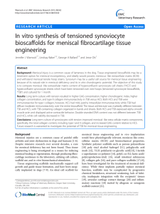 In vitro synthesis of tensioned synoviocyte bioscaffolds for meniscal fibrocartilage tissue engineering