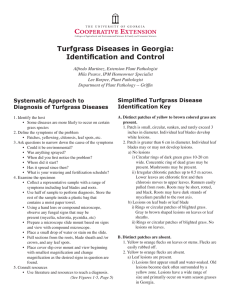 Turfgrass Diseases in Georgia: Identification and Control