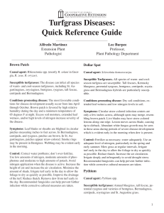 Turfgrass Diseases: Quick Reference Guide Alfredo Martinez Lee Burpee