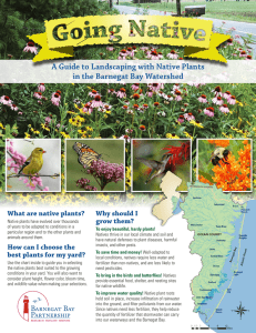 A Guide to Landscaping with Native Plants What are native plants?