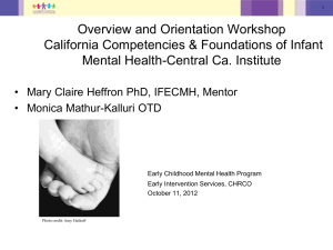 Overview and Orientation Workshop California Competencies &amp; Foundations of Infant