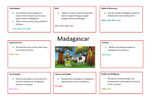 Use the context of Malagasy animals to Maths &amp; Numeracy