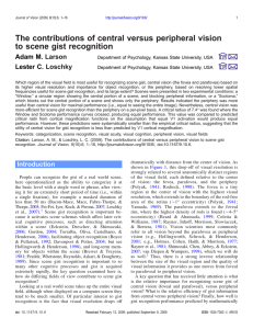 The contributions of central versus peripheral vision to scene gist recognition