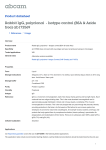 Rabbit IgG, polyclonal  - Isotype control (BSA &amp; Azide