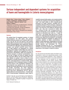 Sortase independent and dependent systems for acquisition Listeria monocytogenes