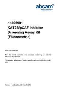 ab196991 KAT2B/pCAF Inhibitor Screening Assay Kit (Fluorometric)