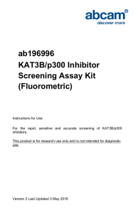 ab196996 KAT3B/p300 Inhibitor Screening Assay Kit (Fluorometric)