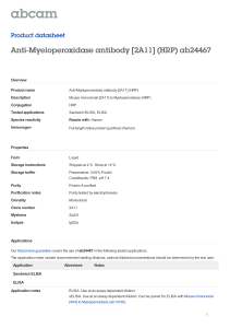 Anti-Myeloperoxidase antibody [2A11] (HRP) ab24467 Product datasheet Overview Product name