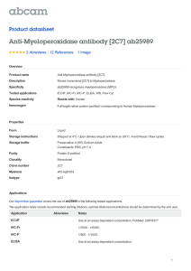 Anti-Myeloperoxidase antibody [2C7] ab25989 Product datasheet 2 Abreviews 1 Image