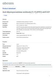 Anti-Myeloperoxidase antibody [7,17] (FITC) ab91237